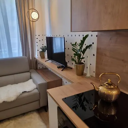 Apartma Larisa Apartment *